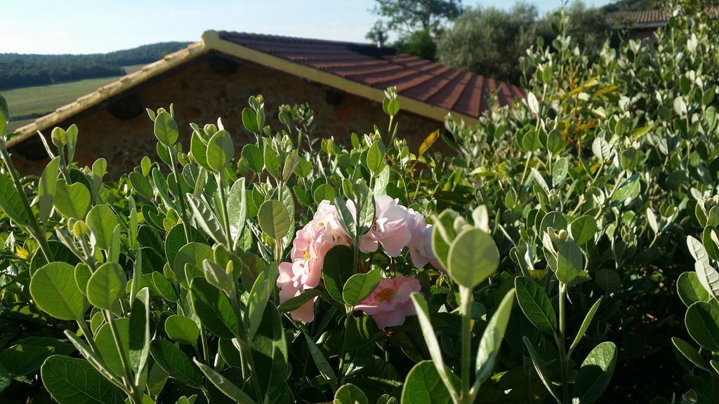 Agriturismo Il Cerrosughero Villa Scarlino Exterior photo